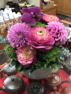 flowerfev.jpg